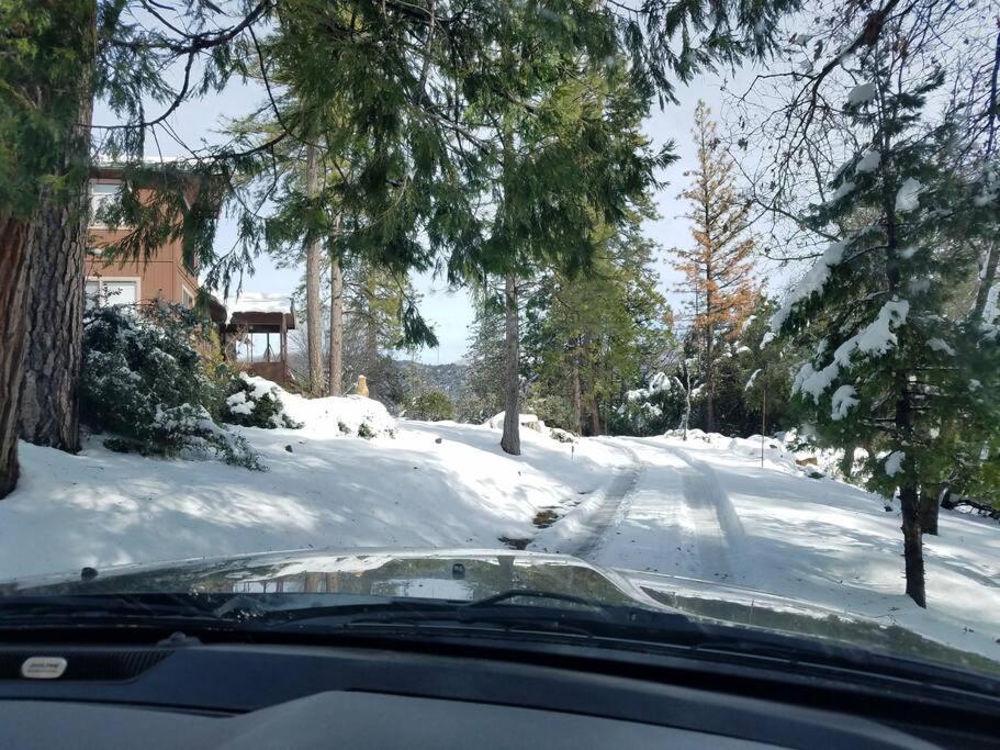 Uncle Grizz'S Cabin...Get Intouch With Nature Bass Lake Annex المظهر الخارجي الصورة